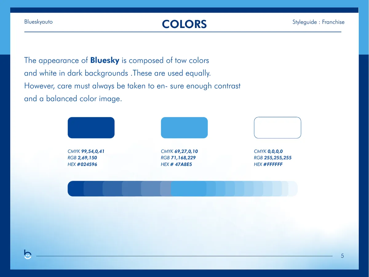 BlueSky brand guideline page 2